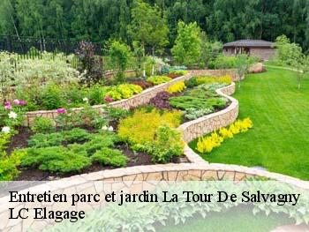 Entretien parc et jardin  la-tour-de-salvagny-69890 LC Elagage