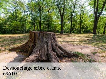 Dessouchage arbre et haie  69610