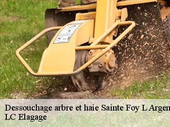 Dessouchage arbre et haie  sainte-foy-l-argentiere-69610 LC Elagage