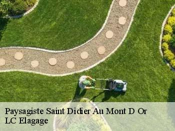 Paysagiste  saint-didier-au-mont-d-or-69370 LC Elagage